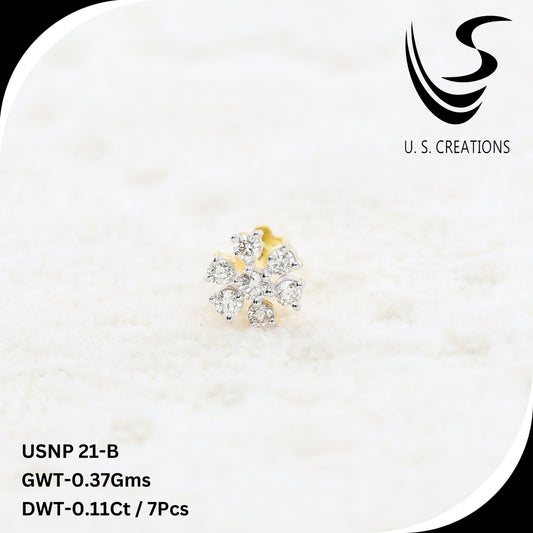 USNP21-B (Natural diamonds)