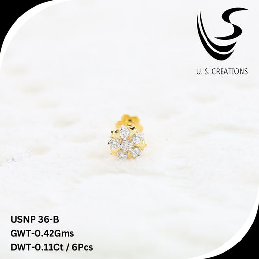 USNP36-B (Natural diamonds)